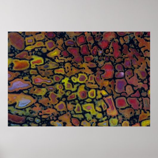 Rainbow Petrified Dinosaurier Bone Poster (Vorne)
