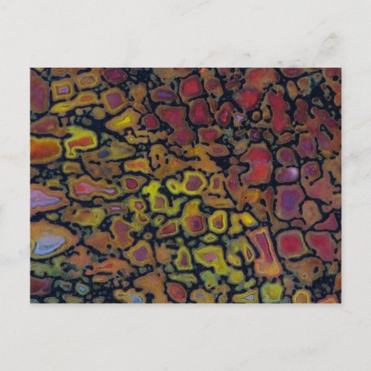 Rainbow Petrified Dinosaurier Bone Postkarte (Vorderseite)