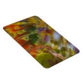 Rainbow Petrified Wood Magnet (Rechte Seite)