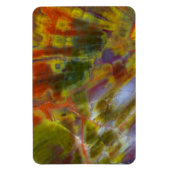 Rainbow Petrified Wood Magnet (Vertikal)
