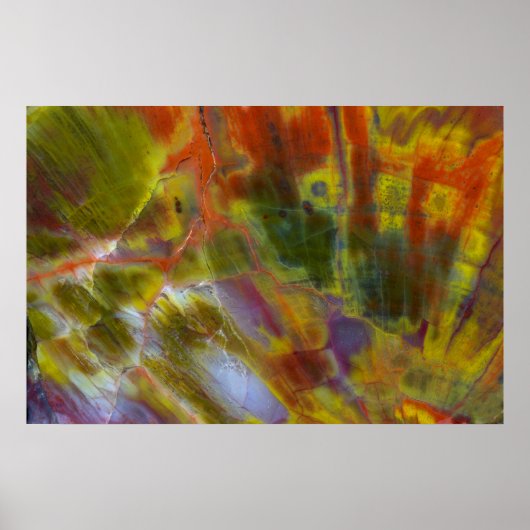 Rainbow Petrified Wood Poster (Vorne)