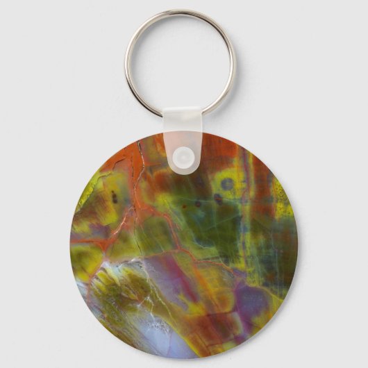Rainbow Petrified Wood Schlüsselanhänger (Vorderseite)