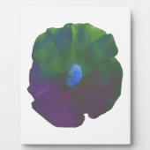 Rainbow Petunia Plaque Fotoplatte (Vorderseite)