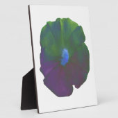 Rainbow Petunia Plaque Fotoplatte (Seite)