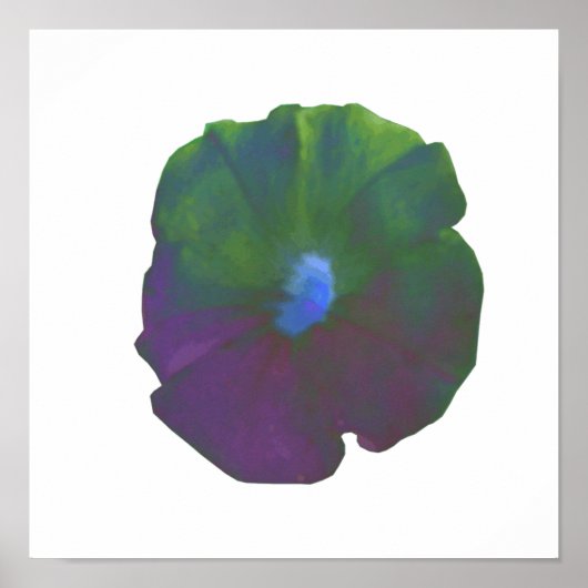 Rainbow Petunia Poster (Vorne)