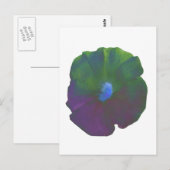 Rainbow Petunia Postkarte (Vorne/Hinten)