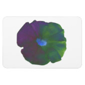 Rainbow Petunia Premium Magnet (Horizontal)