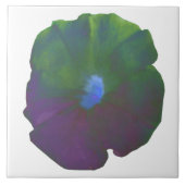 Rainbow Petunia Tile Fliese (Vorderseite)