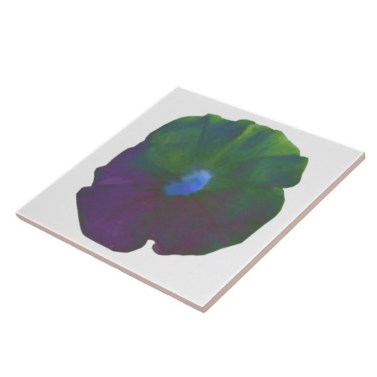 Rainbow Petunia Tile Fliese (Seite)