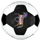 Rainbow Pferd - Ihr Name Fußball (Gedreht)