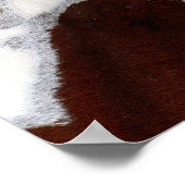 Rainbow Pferde Poster (Ecke)