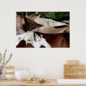 Rainbow Pferde Poster (Küche)