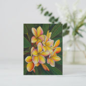 Rainbow Plumeria Postkarte (Stehend Vorderseite)