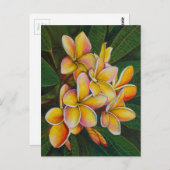 Rainbow Plumeria Postkarte (Vorne/Hinten)