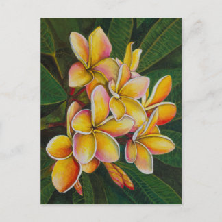 Rainbow Plumeria Postkarte
