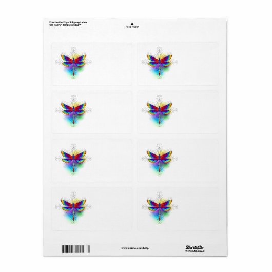 Rainbow Polygonal Dragonfly (Vorne)