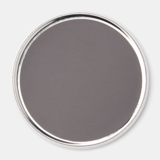 Rainbow Polygonal Dragonfly Magnet (Rückseite)