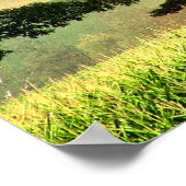 Rainbow Poster (Ecke)