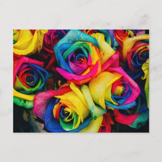 Rainbow Postkarte (Vorderseite)