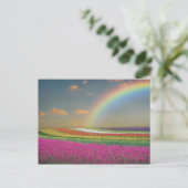 Rainbow Postkarte (Stehend Vorderseite)