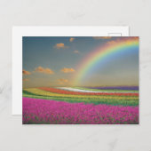 Rainbow Postkarte (Vorne/Hinten)