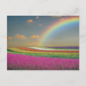 Rainbow Postkarte (Vorderseite)