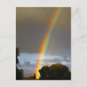 Rainbow Postkarte (Vorderseite)