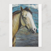 Rainbow Postkarte (Vorderseite)