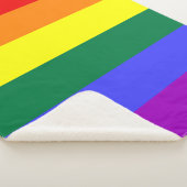 Rainbow-Pride-Flag Sherpadecke (3/4)