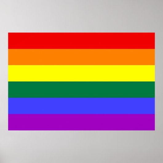 Rainbow Prilag Flag Poster (Vorne)