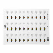 Rainbow Prilag Frack Butterfly (Vorne)