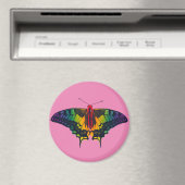 Rainbow Prilag Frack Butterfly Magnet (In Situ (Geschirrspüler))