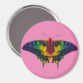 Rainbow Prilag Frack Butterfly Magnet (Vorderseite/Rückseite)