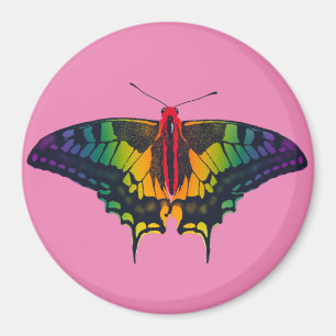 Rainbow Prilag Frack Butterfly Magnet