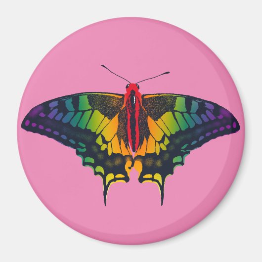 Rainbow Prilag Frack Butterfly Magnet (Vorne)