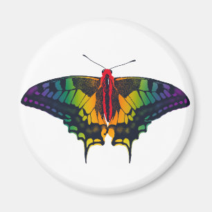 Rainbow Prilag Frack Butterfly Magnet