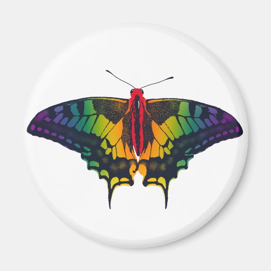 Rainbow Prilag Frack Butterfly Magnet (Vorne)