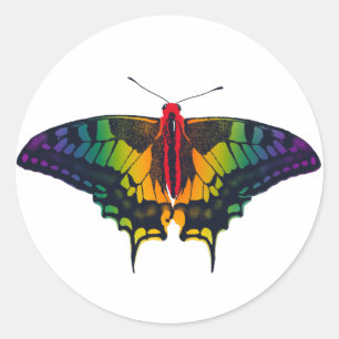 Rainbow Prilag Frack Butterfly Runder Aufkleber