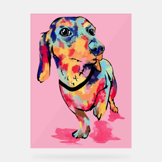 Rainbow Pup Acrylschild (Vorderseite)