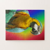 Rainbow Puzzle: Funny Talking Parrot Puzzle (Horizontal)