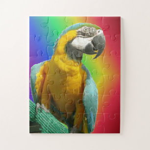 Rainbow Puzzle: Funny Talking Parrot Puzzle