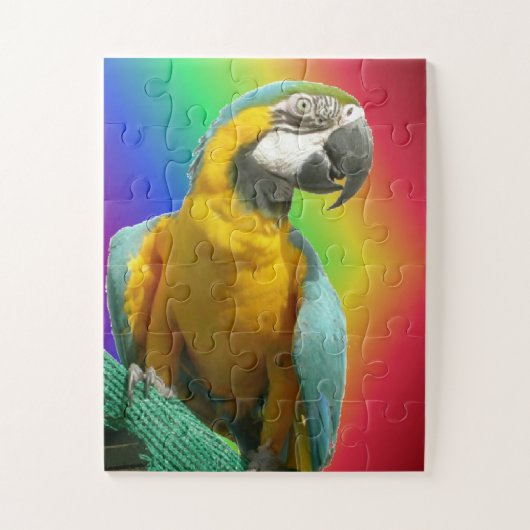 Rainbow Puzzle: Funny Talking Parrot Puzzle (Vertikal)