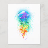 Rainbow-Qualle Flyer (Hinten)