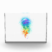 Rainbow-Qualle Fotoblock (Vorderseite)