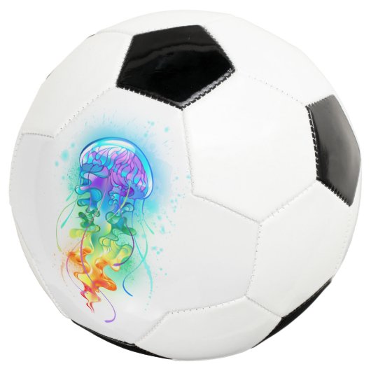 Rainbow-Qualle Fußball (Dreiviertel)