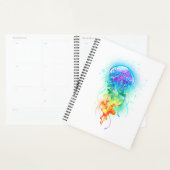 Rainbow-Qualle Planer (Anzeige)