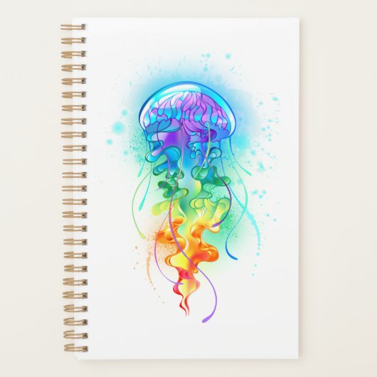 Rainbow-Qualle Planer (Vorderseite)