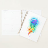 Rainbow-Qualle Planer (Anzeige)