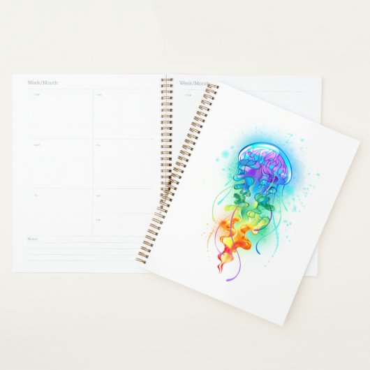 Rainbow-Qualle Planer (Anzeige)