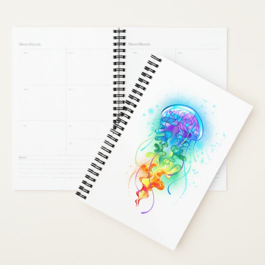 Rainbow-Qualle Planer (Anzeige)